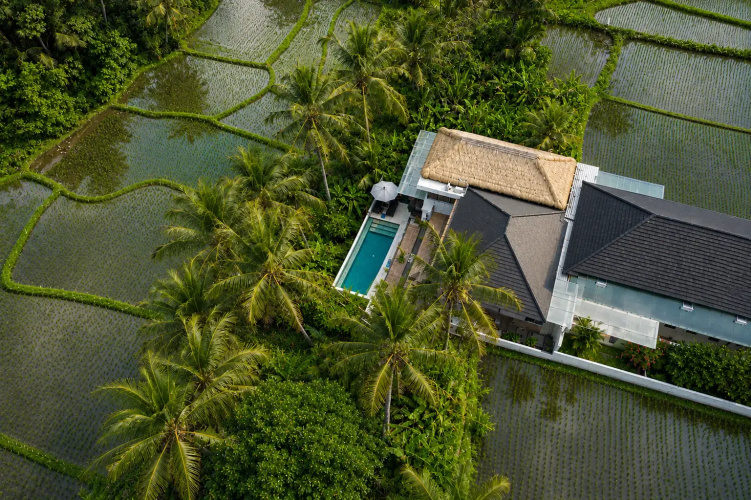 Bali View Ubud By Betterplace Apart-hotel - Bali