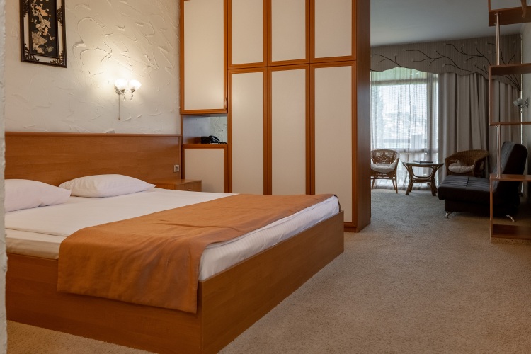 Фотография номера гостиницы Веселый Хотэй