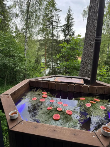 Фотография номера Коттеджа Частный дом в соснах с баней и чаном