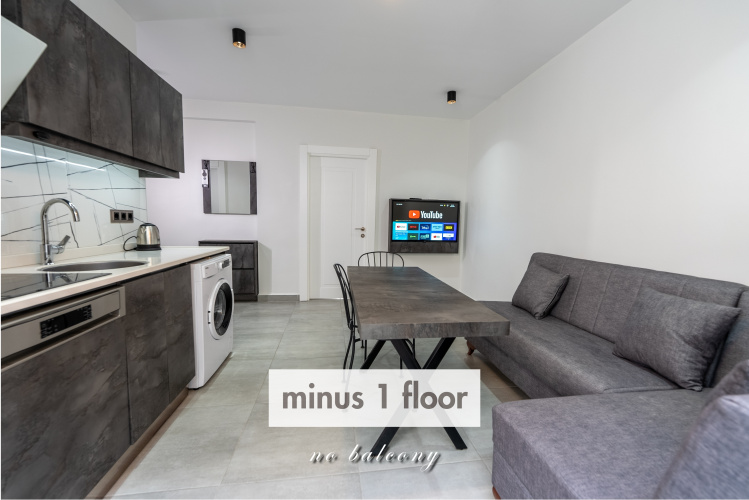 Economy Basement Suite