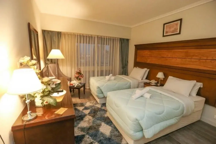 Standard Double room with balcony and with city view