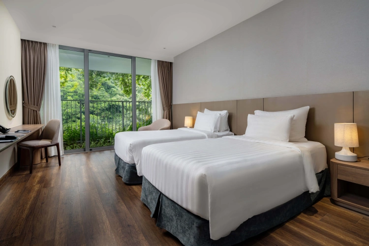 Deluxe Double room with mountain view