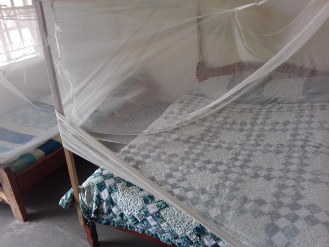 Economy Double room with balcony and with view
