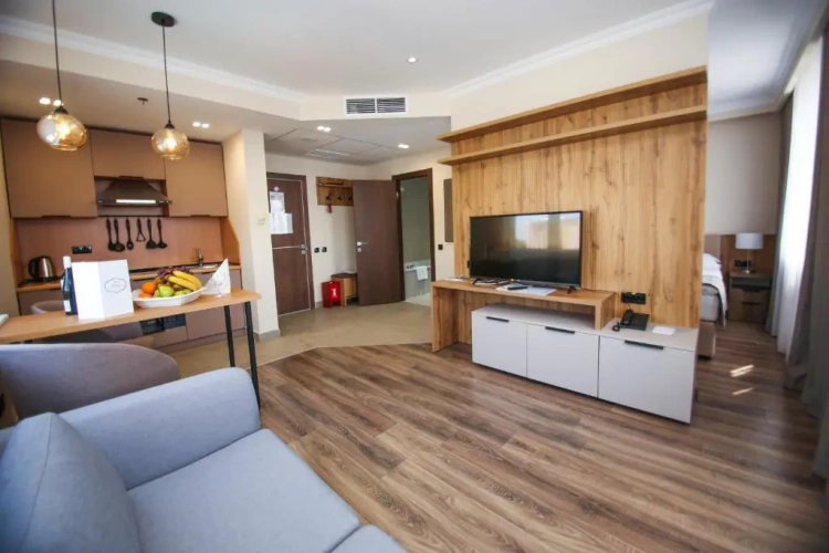 1 Bedroom Apartment
