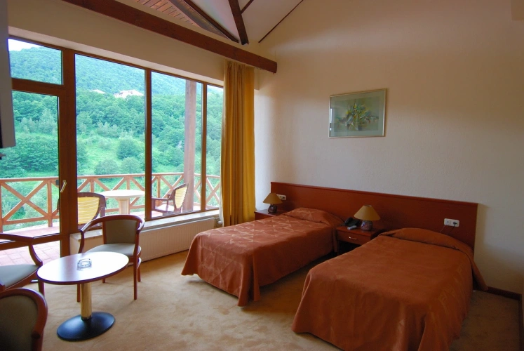Standard Twin room with balcony and with view