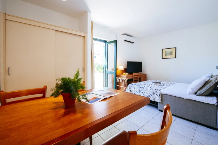 1 Bedroom Standard Apartment with balcony and with view