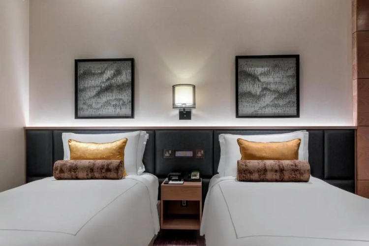 Superior Double room with city view