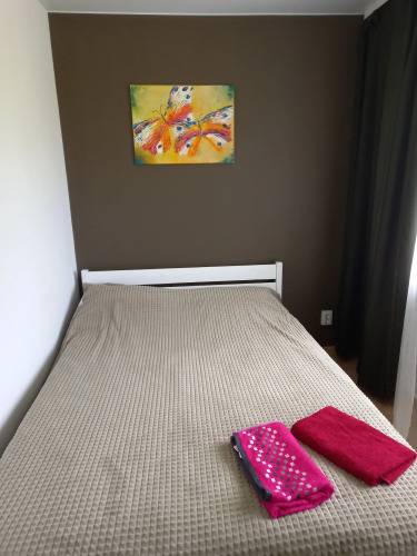 Фотография номера квартиры Апартаменты Студия 7