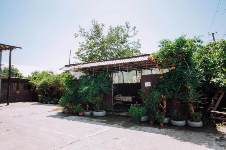 U Artema Guest House
