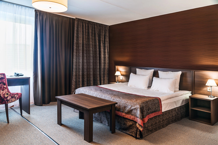 Фотография номера гостиницы Звездная