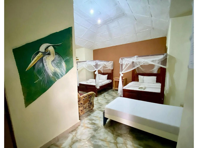 Gorilla Africa Guest House