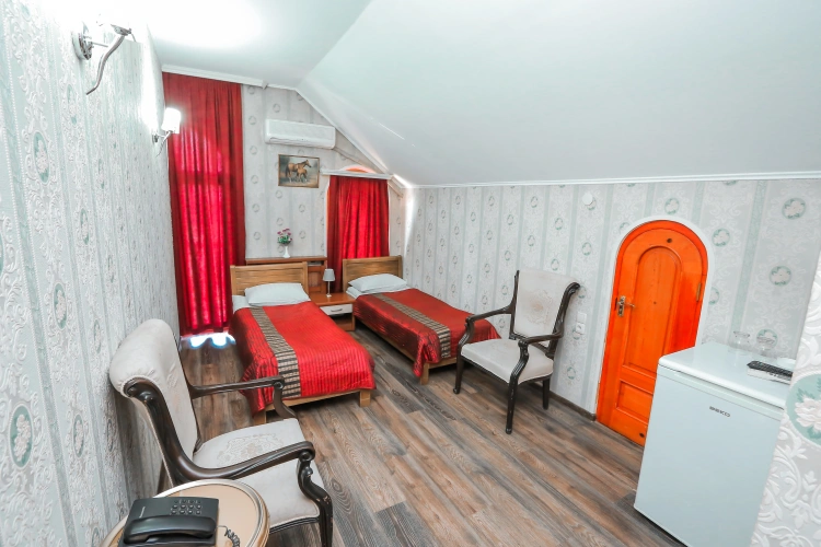 Standard Twin room with balcony and with mountain view
