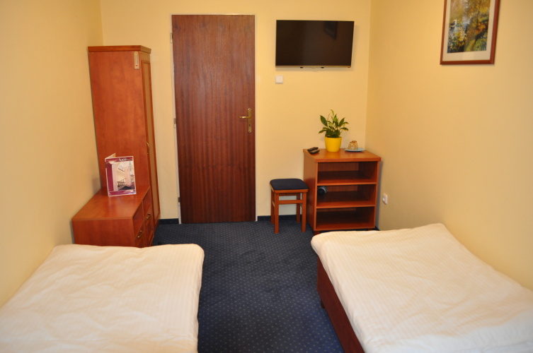 Standard Twin room with view