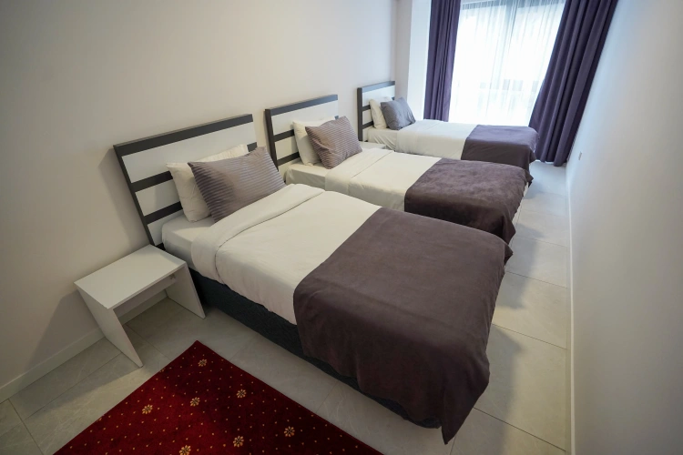 1 Bedroom Apartment with city view