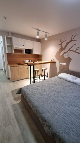 Фотография номера квартиры Апартаменты на Улице Ленина 54 4