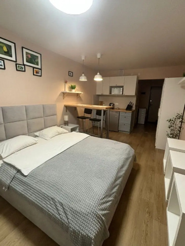 Фотография номера квартиры Апартаменты На Нижней 2