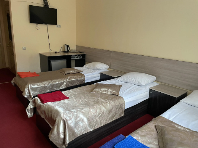 Фотография номера гостиницы Сарай гара