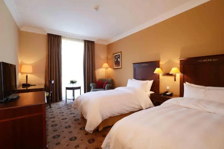Standard Twin room with view