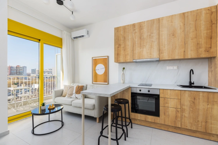 1 Bedroom Apartment