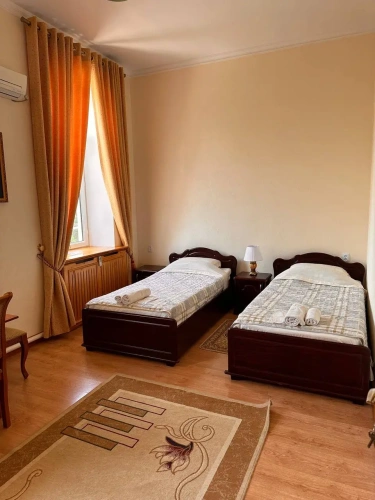 Standard Twin room with view