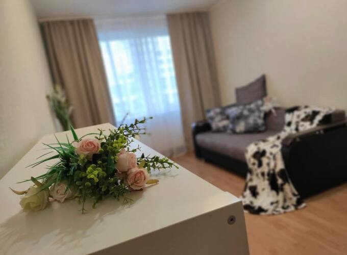 Фотография номера квартиры Апартаменты на проспекте Авиаторов Балтики, 9к3