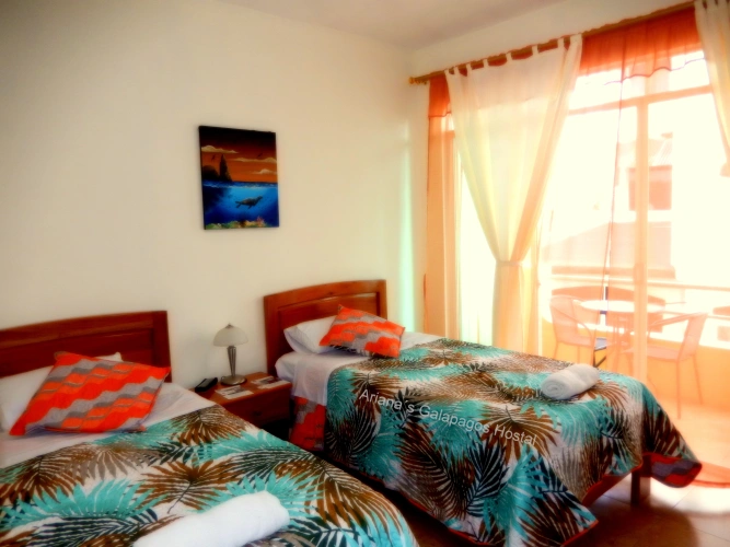 Standard Double room with balcony and with view