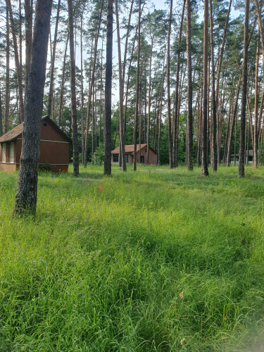 Recreation camp Zeleny Lug