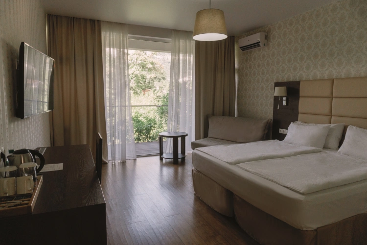 Standard Twin room with balcony and with garden view