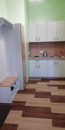 Фотография номера квартиры Апартаменты однокомнатные №3