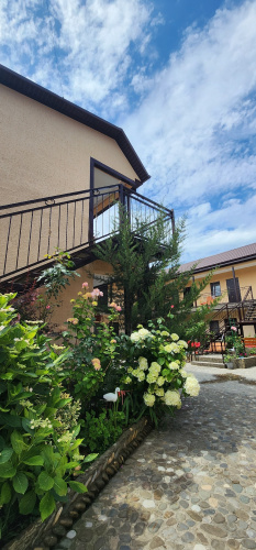 Barbaris Mini hotel