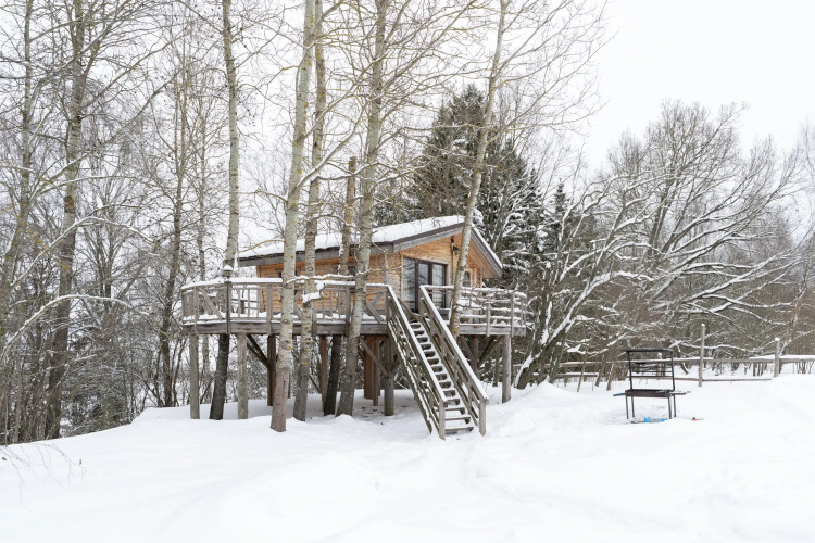 Фотография номера Коттеджа Частный дом Малый Экоранчо на дереве для двоих