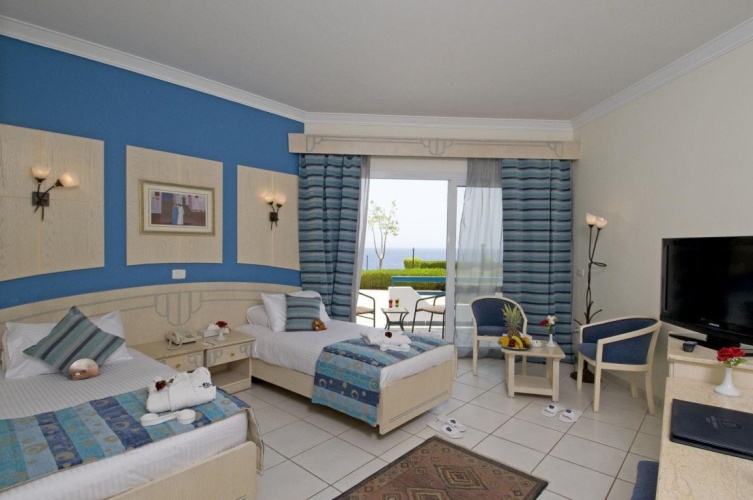 Standard Single room with balcony and with view