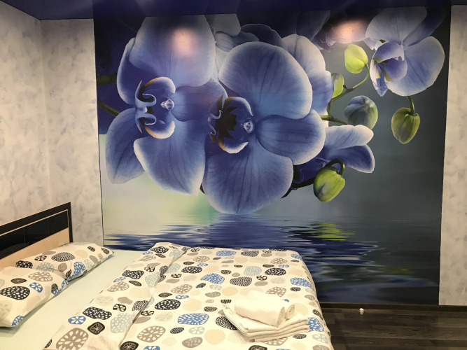 Фотография номера квартиры Квартира Студия 5