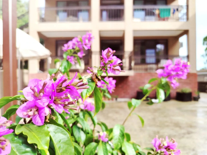 Bagrat Guest House