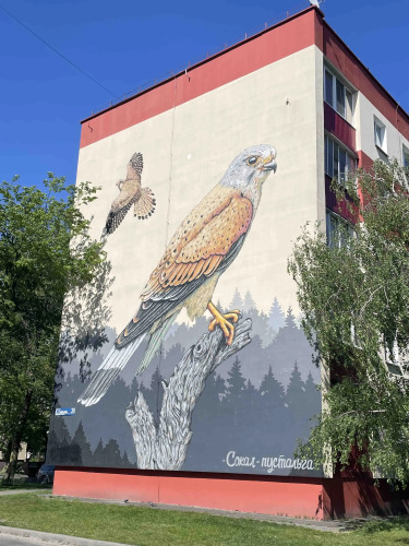 Фотография номера квартиры Апартаменты Sokol на набережной в пешей доступности к самому центру