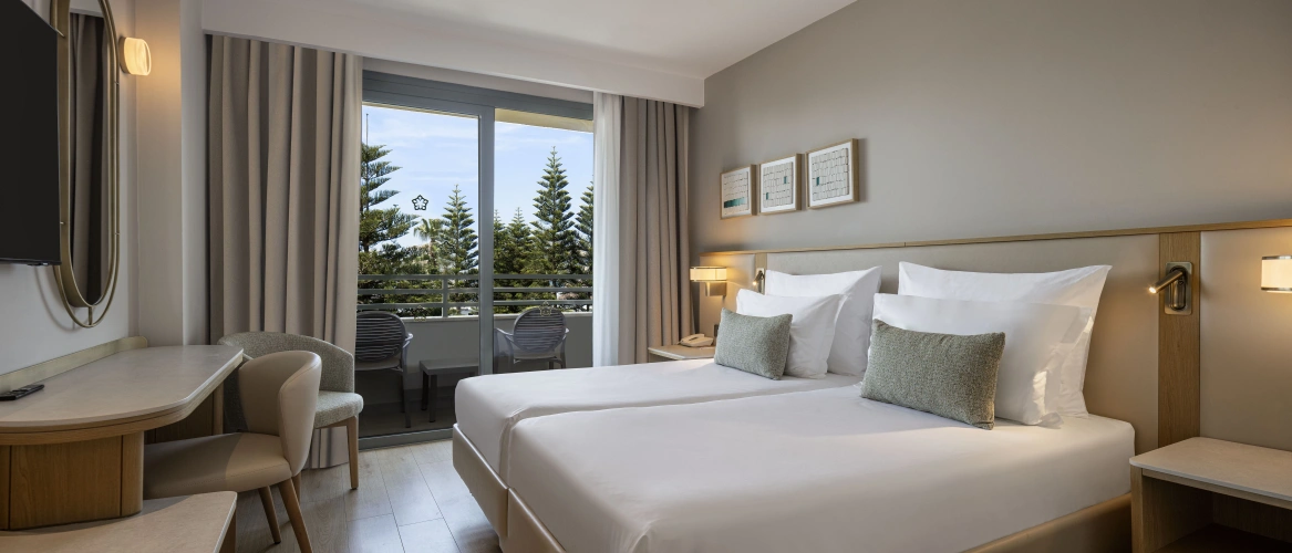 Standard Double room with balcony and with land view
