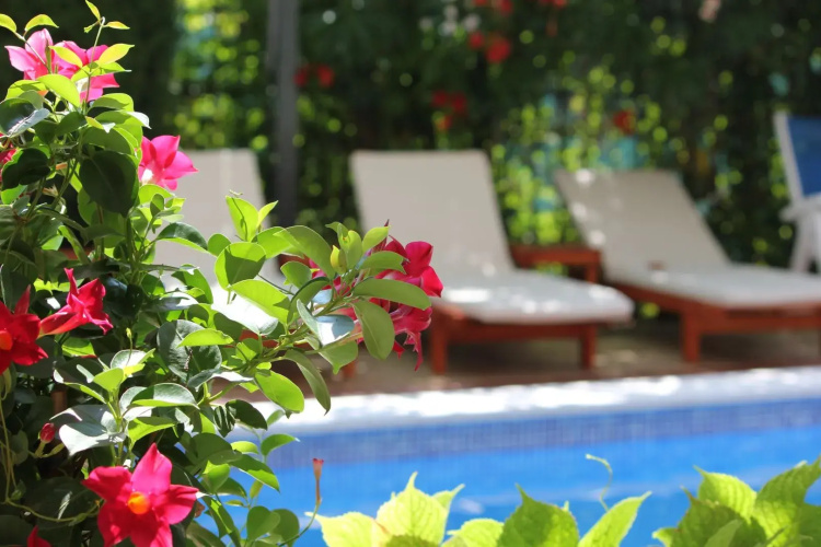 Vila Bojana Hotel