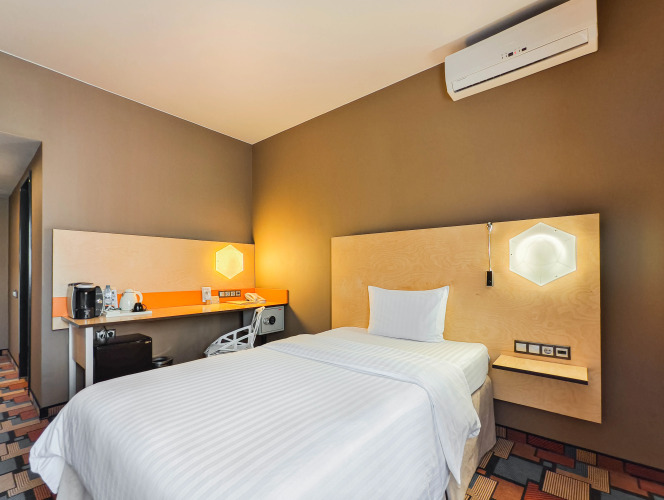 Одноместный номер Economy с видом на город