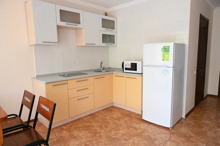 Фотография номера апарт отеля Григорий