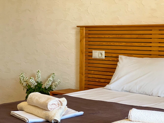 Standard Double room with balcony and with view