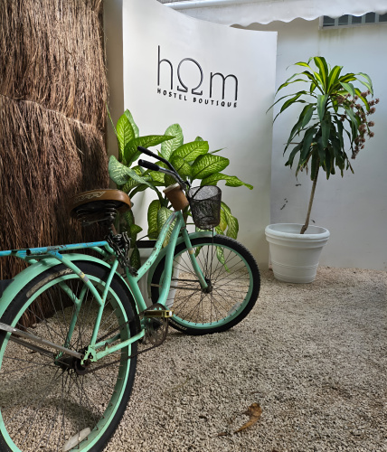 Hom Boutique Hostel