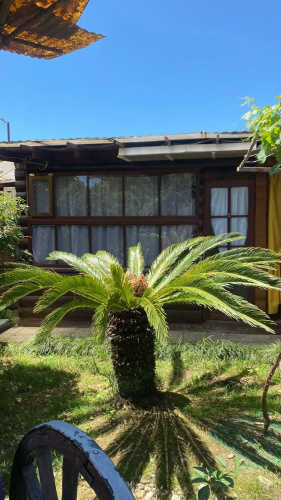 Gostevye Domiki Gudauta Guest House
