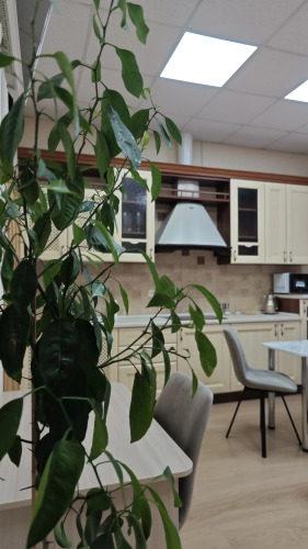 Фотография номера гостиницы ВОСТОК