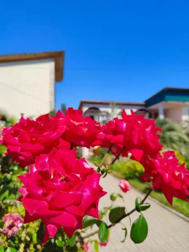 Guest house Deni Delmar