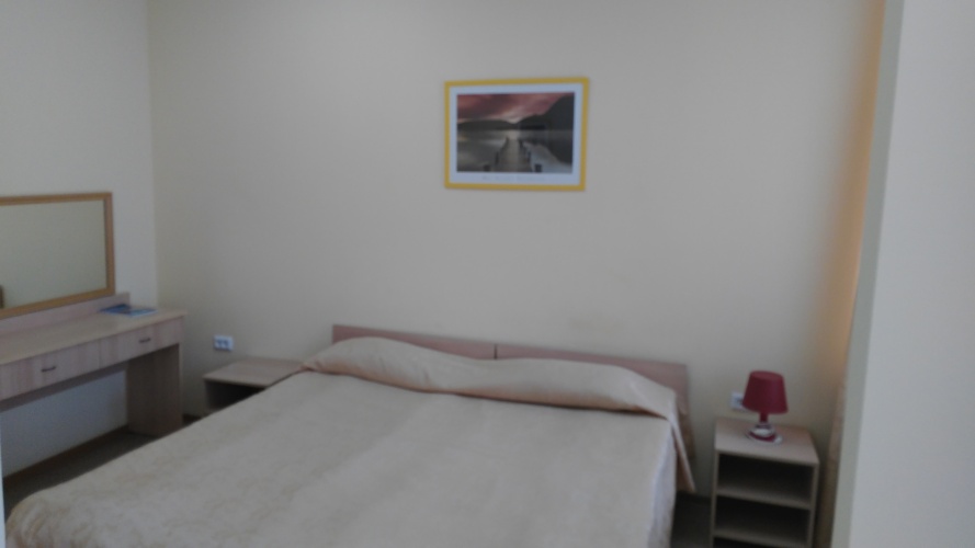 Фотография номера гостиницы Альпина