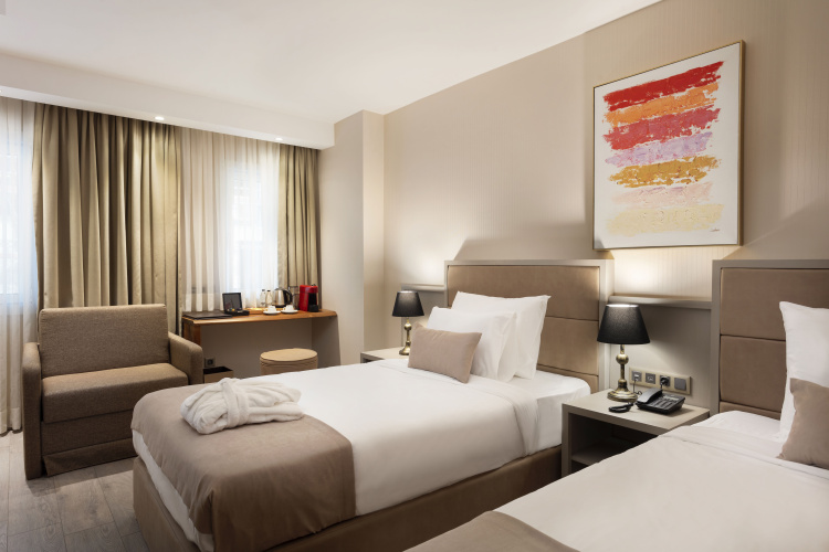 Deluxe Twin room with city view