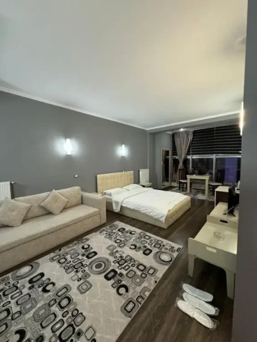 Standard Double room with balcony and with view