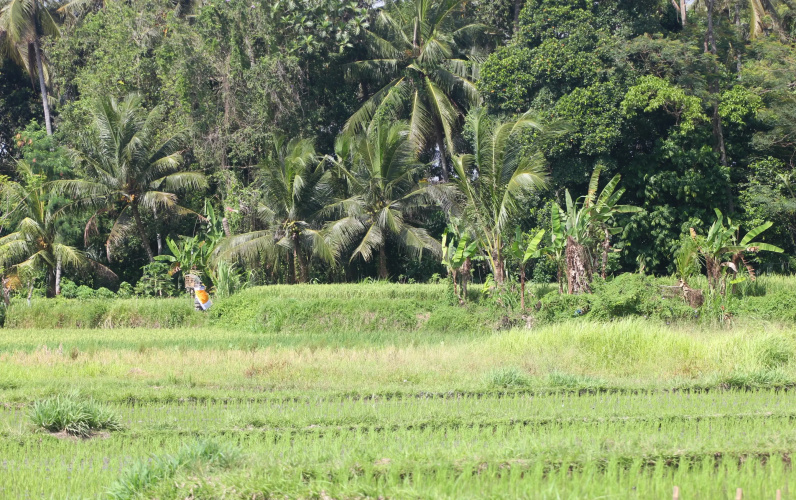 Vila Padma Bali A Trishula Collection Villa