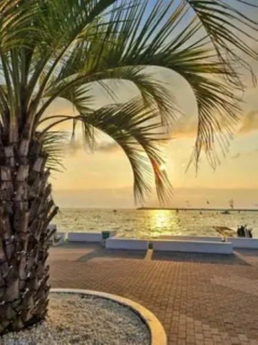 Фотография номера квартиры Апартаменты Грин Парк 1