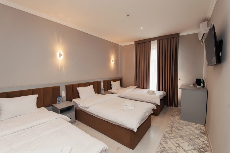 Deluxe Triple room